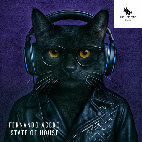 State of House (Radio Edit) album art