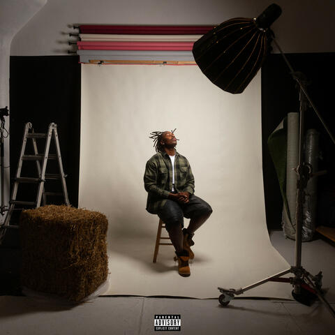 pogo album art