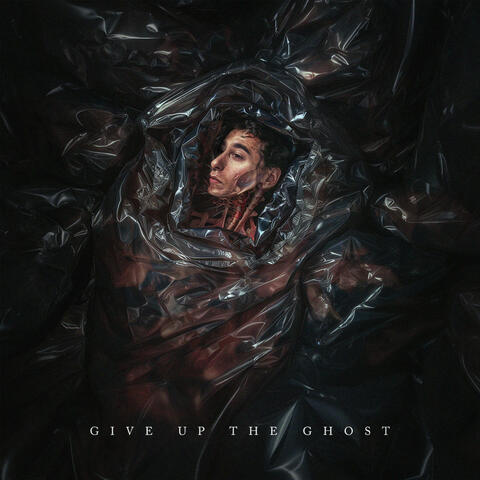 Give Up The Ghost album art