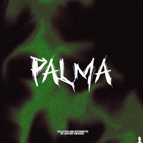 PALMA album art