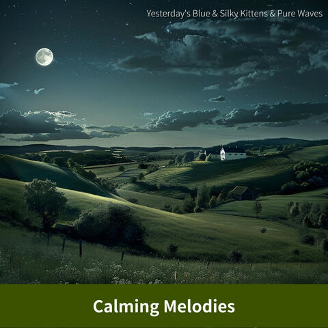 Calming Melodies album art