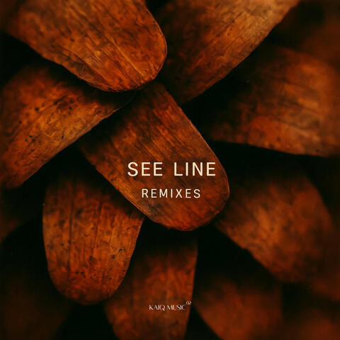 See Line Remixes album art