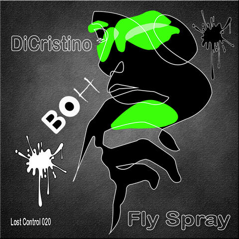 Fly Spray album art