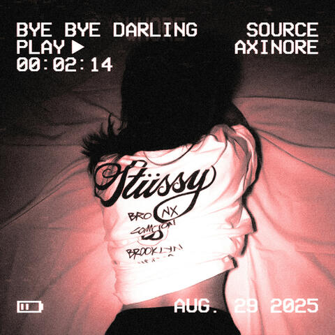 BYE BYE DARLING album art