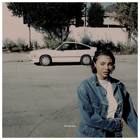 how to lie album art