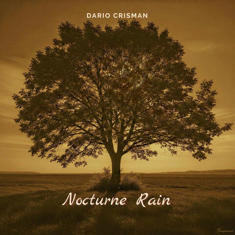 Nocturne Rain album art