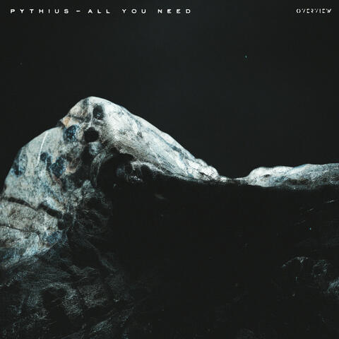 All You Need album art