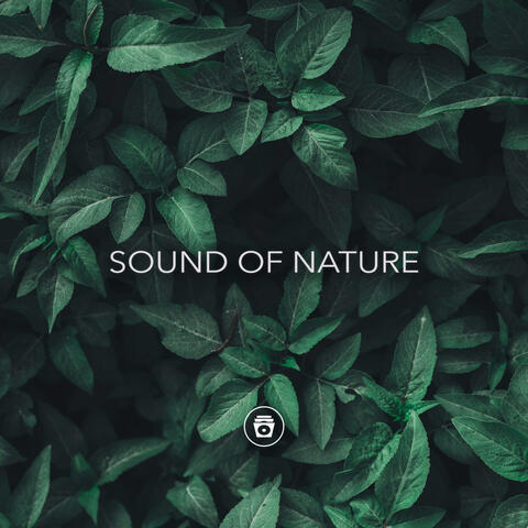 Sound Of Nature album art