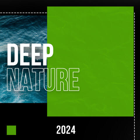 2024 Deep Nature album art