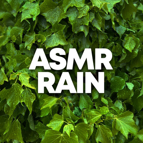 ASMR Rain album art