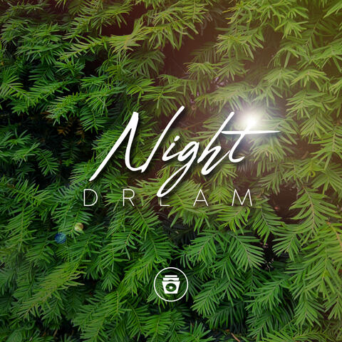 Night Dream album art