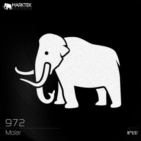 Molar album art