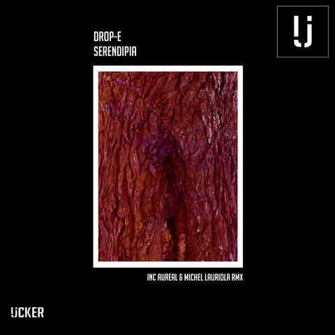 Serendipia album art