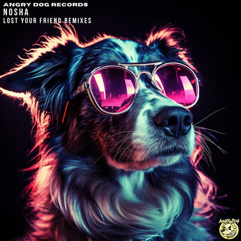 Lost Your Friend Remixes album art