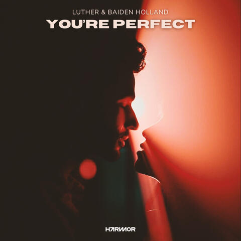 You're Perfect album art