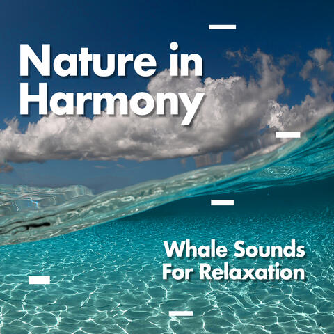 Nature In Harmony album art