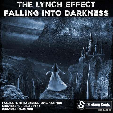 Falling into Darkness album art