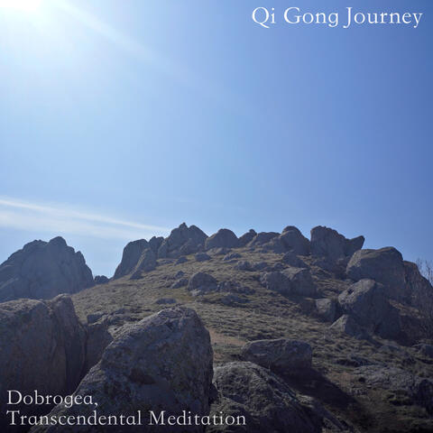 Dobrogea, Transcendental Meditation album art