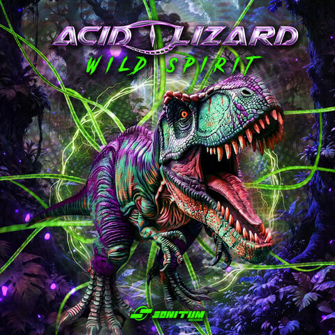 Wild Spirit album art