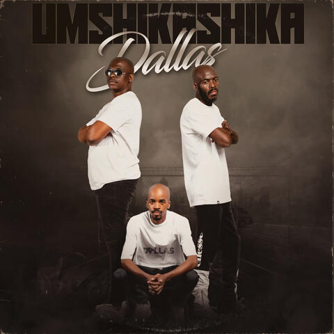 UMSHIKASHIKA album art