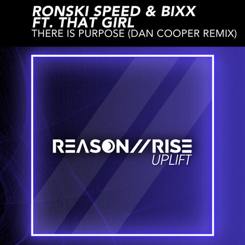 There Is Purpose (Dan Cooper Remix) album art