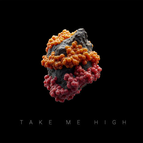 Take Me High album art