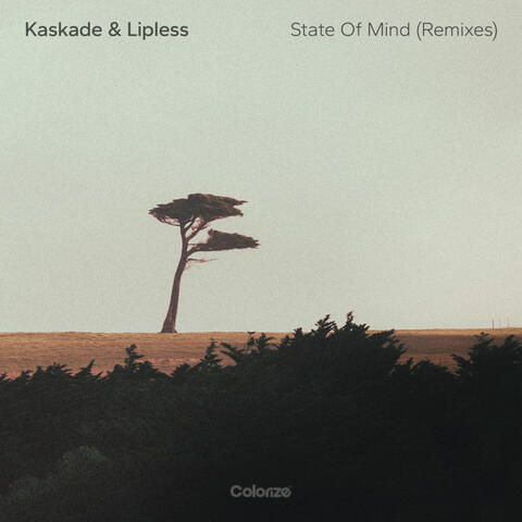 State Of Mind (Remixes) album art