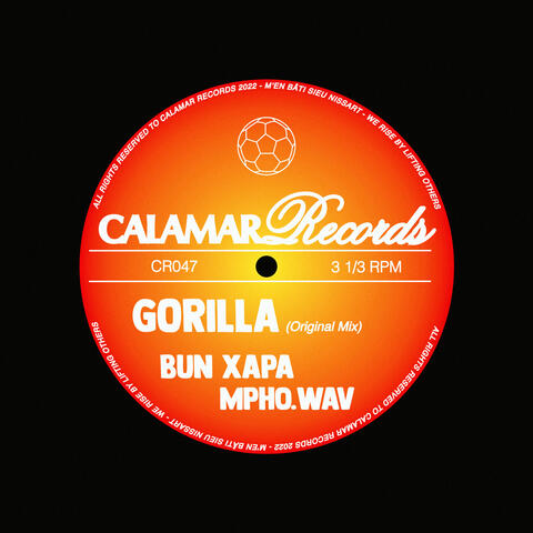 Gorilla album art