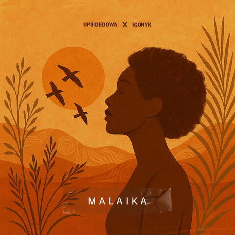 Malaika album art