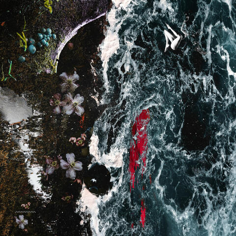 The How Will Show Up album art