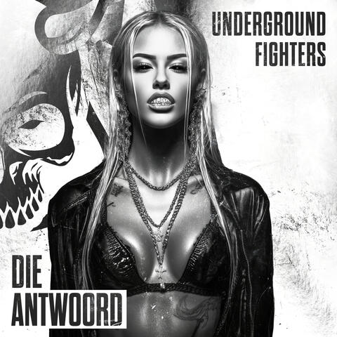 Die Antwoord album art