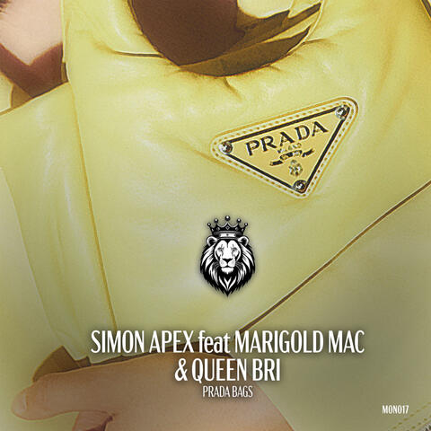 Prada Bags album art