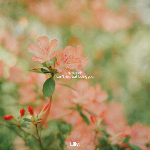 Can't Help But Loving You album art