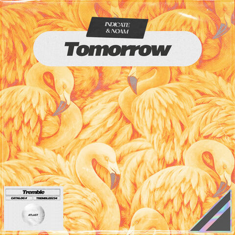 Tomorrow album art