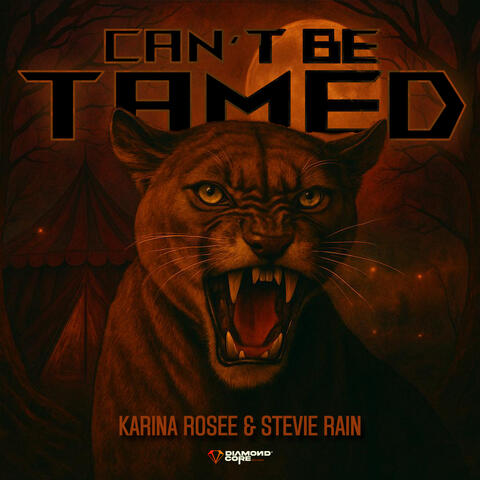 CAN'T BE TAMED album art