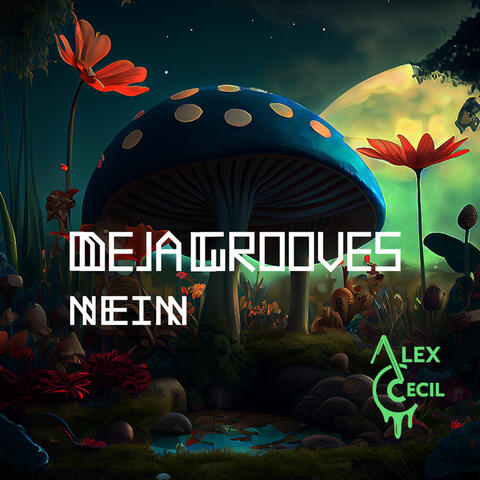 Deja Grooves album art