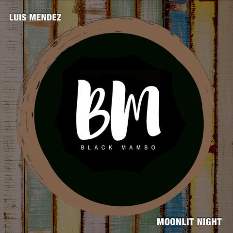 Moonlit Night album art