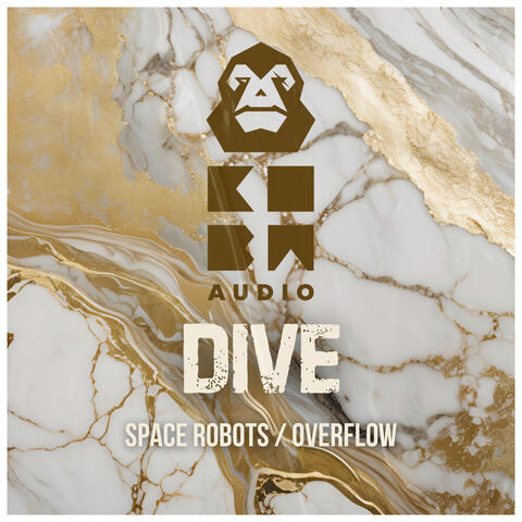 Space Robots / Overflow album art