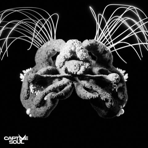 Motive album art