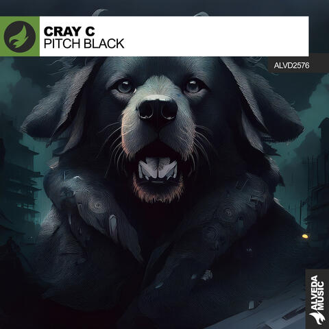 Pitch Black album art