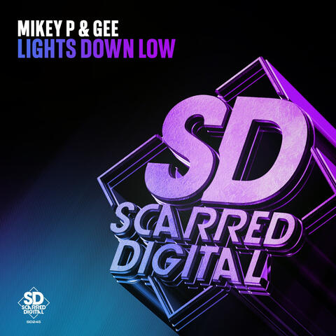 Lights Down Low album art