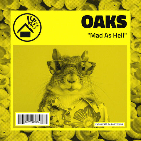 Mad As Hell album art