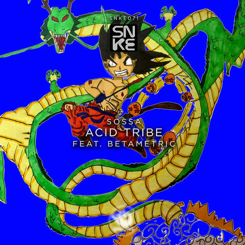 Acid Tribe album art