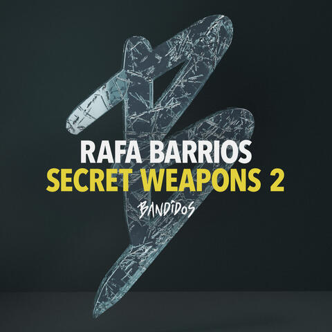 Secret Weapons 2 album art