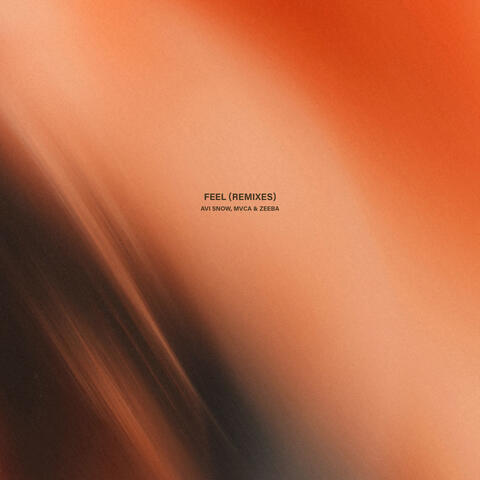 Feel (Remixes) album art