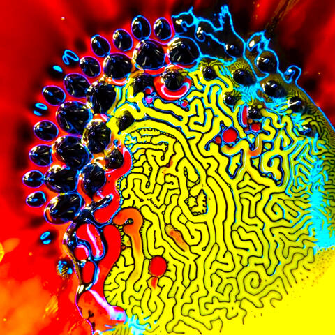 ViVA EMPATHY album art