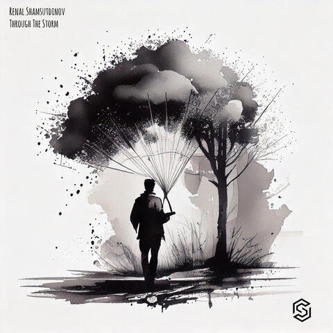 Through The Storm album art