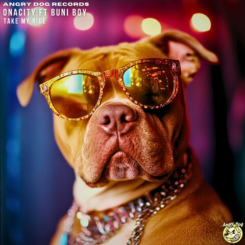 Take My Ride album art