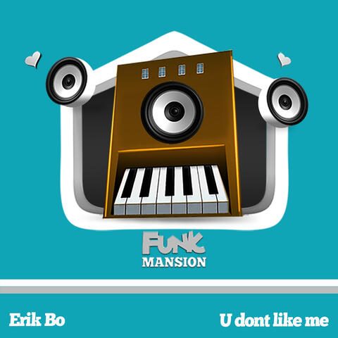 U dont like me album art
