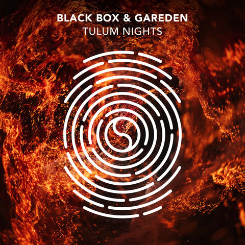 Tulum Nights album art